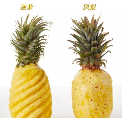 台湾为什么把菠萝叫做凤梨图3