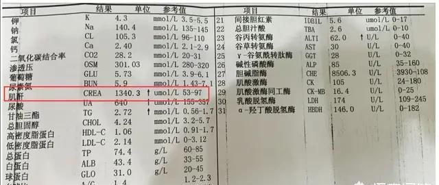 肌酐升高的危害(肌苷原料药用途)图2