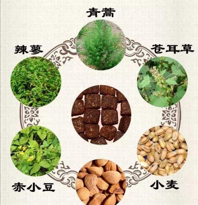 《本草精荟》：消食和胃：神曲的功效与应用