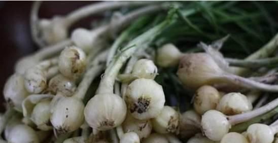 药王孙思邈：吃小蒜，治心病