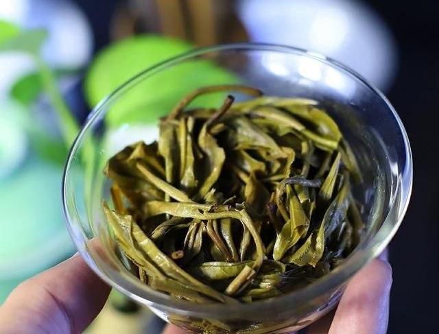 如何冲泡普洱茶才好喝？步骤才是重点吗？