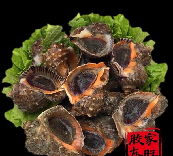 大海螺怎么烹饪好吃图4