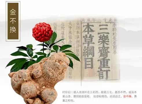 三七药膳的起源和发展