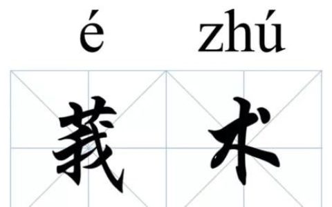 中药莪术有哪些功效与应用,中药莪术功效作用