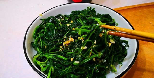 小狗叉全身都是宝，比苦菜营养，比荠菜鲜，却常被当草，凉拌最香