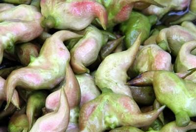菱角的营养价值高吗,有哪些人不能食用呢图6