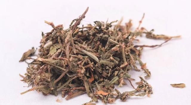 胡博士说中药｜利尿通淋，杀虫止痒——聊聊中药萹蓄