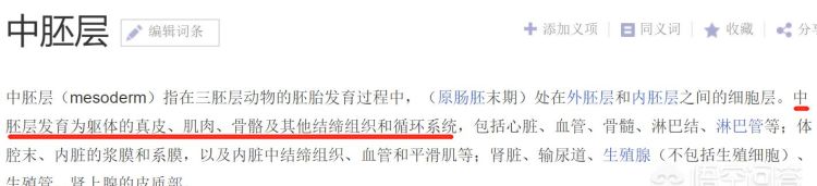 微针和水光针有什么区别(微针和水光针哪个恢复快)图4