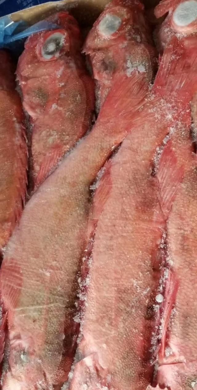 冰岛红鱼吃法,冰岛红鱼吃法大全图4