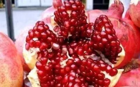 石榴籽能吃吗?它对人有什么好处或者害处吗