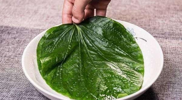 这种常见的野菜叶子，清香又滋补，湛江人的情怀美食，童年的回忆