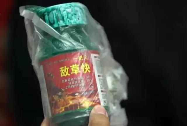 百草功效，百草枯到底有多厉害图4