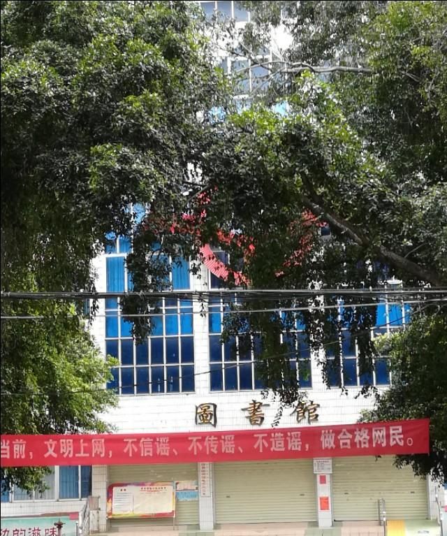 了解一下小叶榕也能增长一定的中药知识
