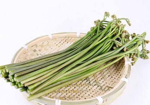 蕨菜怎样好吃(蕨菜怎么吃才好吃)图5