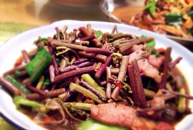 蕨菜怎样好吃(蕨菜怎么吃才好吃)图7