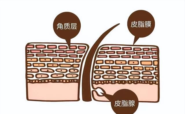 洗脸不对，保养全废，正确的洗脸步骤你知道吗？