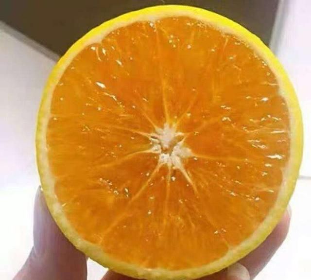 苹果汁和什么一起榨汁好吃图2