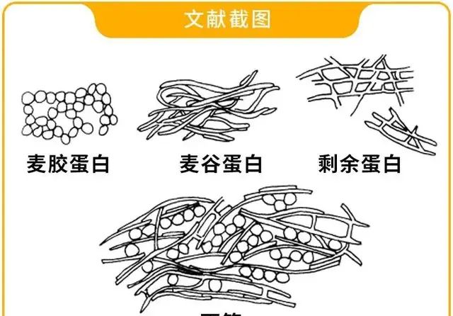 宅家做饭总翻车？先弄清高中低筋面粉是什么