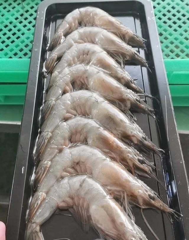如何冷冻海鲜,冷冻海鲜做法图4