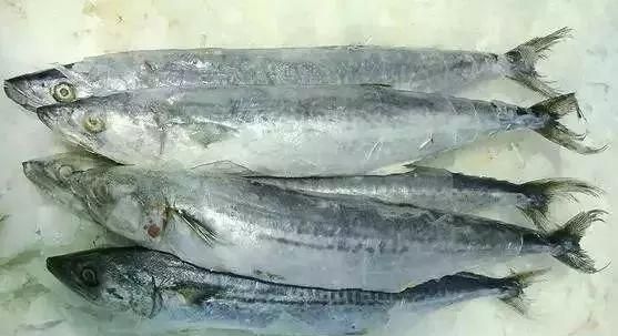 如何冷冻海鲜,冷冻海鲜做法图5