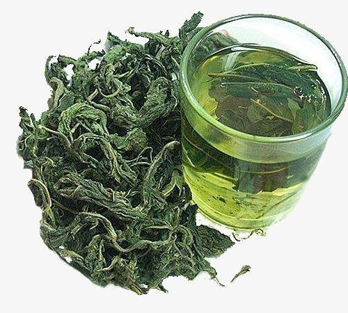 干桑葚叶有什么作用,霜打的桑葚叶的功效与作用图3