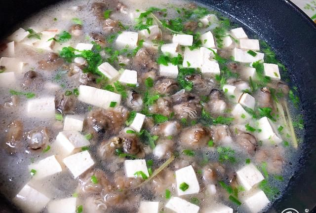 海蛎豆腐汤正确做法，看闽南人家常做法，鲜美清甜，吃不腻家乡味