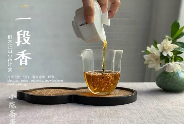 如何正确冲泡正山小种(正山小种红茶的正确冲泡方法)图2