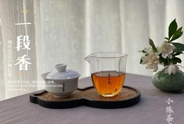 如何正确冲泡正山小种(正山小种红茶的正确冲泡方法)图3