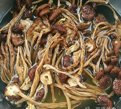 茶树菇鸡汤的做法