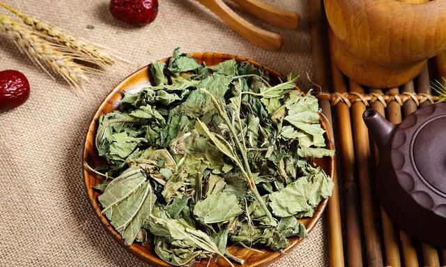 桑叶治感冒 咳嗽 咽痛 牙痛 目赤肿痛等6种疾病 效果好