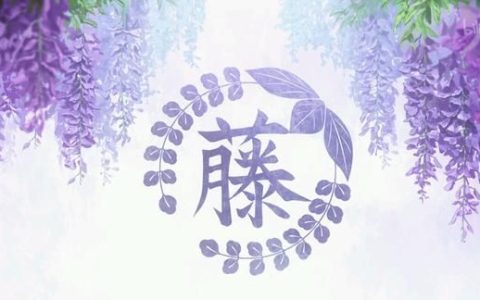 鬼灭之刃紫藤花毒对人类(鬼灭之刃紫藤花的走廊叫什么)
