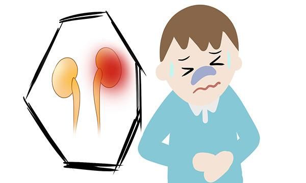 鱼腥草含“马兜铃酸”，损伤肾脏还致癌？到底能不能吃，和你说清