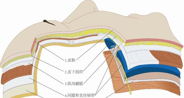 医生回答：拉皮手术费到底多少钱？