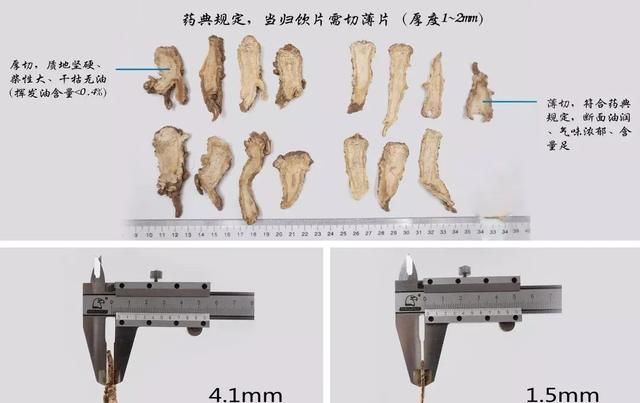 每天学习一味中药——当归
