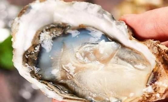 蚝干怎么做才好吃呢(晒蚝干的正确方法)图15