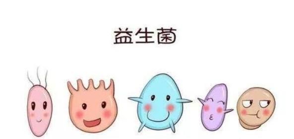 益生菌能不能吃多了(益生菌能不能吃)图2
