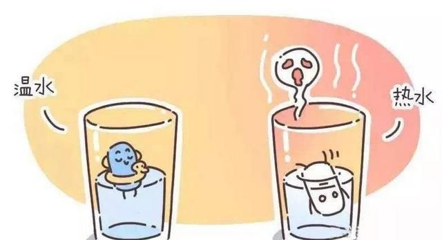益生菌能不能吃多了(益生菌能不能吃)图3