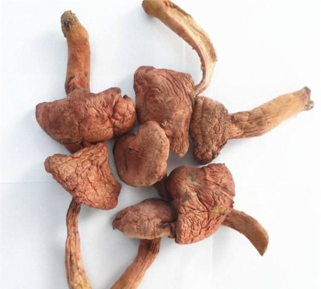 蘑菇是怎么弄干的(干蘑菇的食用方法)图1