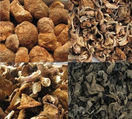 蘑菇是怎么弄干的(干蘑菇的食用方法)图2