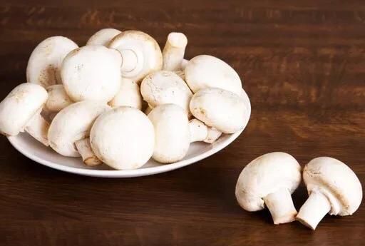 多吃蘑菇有哪些健康的好处图1