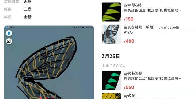 暗语交易、图片打码，二手平台涉嫌违规售卖珍稀蝴蝶标本