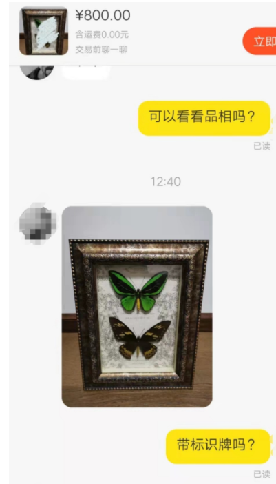 暗语交易、图片打码，二手平台涉嫌违规售卖珍稀蝴蝶标本