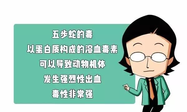 我一朋友被五步蛇咬了，现在已经走了四步，会死吗？#清风计划#