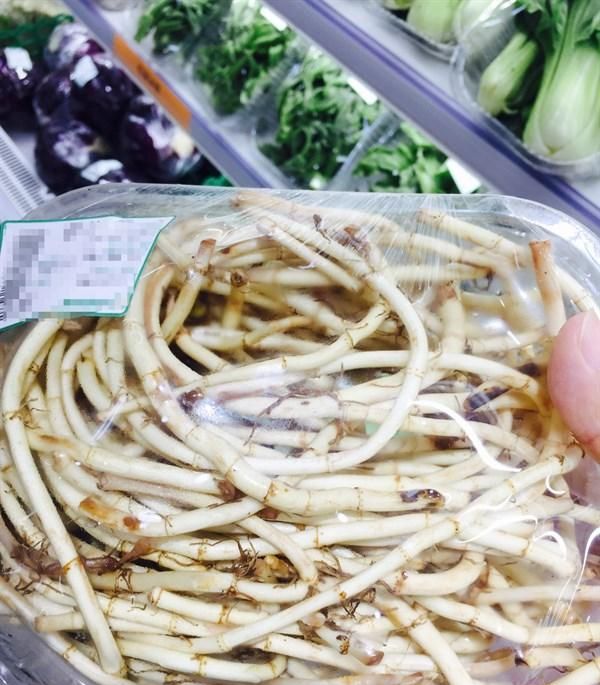 春季多吃应季野菜，营养丰富不可错过，对身体健康特好，老少皆宜