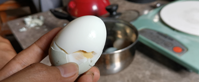 绿壳鸡蛋被誉为“鸡蛋中的人参”，口感怎样，有什么特殊营养吗？