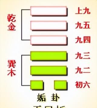 24节气“夏至”来了，民俗禁忌“一祭二吃三不做”