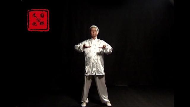 养生功法：太极养生回春功