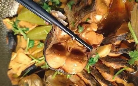 家常炖草鱼鱼肉鲜嫩营养又美味(怎么炖草鱼肉质滑而不腻)