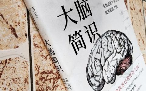 大脑使用说明书读后感