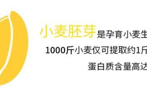 小麦胚芽的营养价值怎样